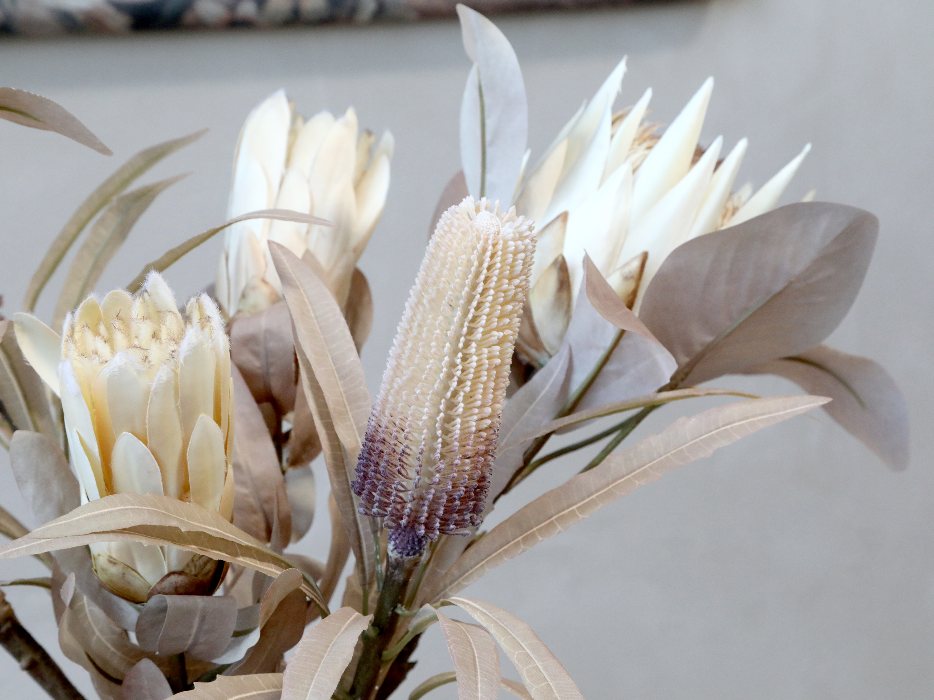 Chic Antique Fleur Protea Blume für immer 1 Stück 